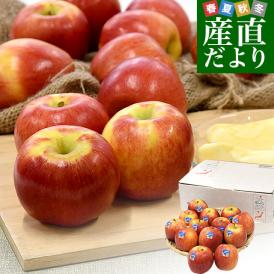 甘みたっぷりでパリっとクリスプ食感！夏に旬を迎える極旨りんご