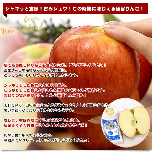 ニュージーランド産 JAZZりんご(品種:サイフレッシュ) 約2.6キロ(12玉から13玉入) 送料無料 リンゴ 林檎 ジャズりんご クール便 市場発送04