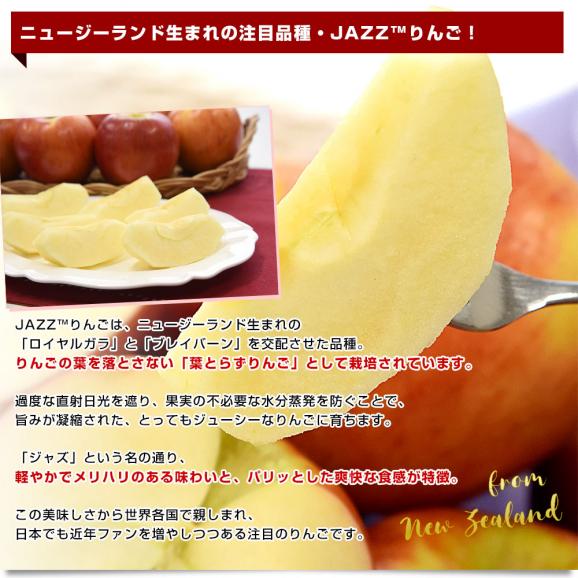 ニュージーランド産 JAZZりんご(品種:サイフレッシュ) 約2.6キロ(12玉から13玉入) 送料無料 リンゴ 林檎 ジャズりんご クール便 市場発送05