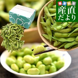 群馬県 沼田利根蔬菜出荷組合 天狗印の枝豆 味緑（みりょく）1キロ (250g×4袋) 青豆 茶豆風味 送料無料 えだまめ てんぐえだまめ