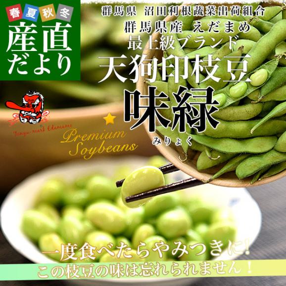 群馬県 沼田利根蔬菜出荷組合 天狗印の枝豆 味緑（みりょく）1キロ (250g×4袋) 青豆 茶豆風味 送料無料 えだまめ てんぐえだまめ02