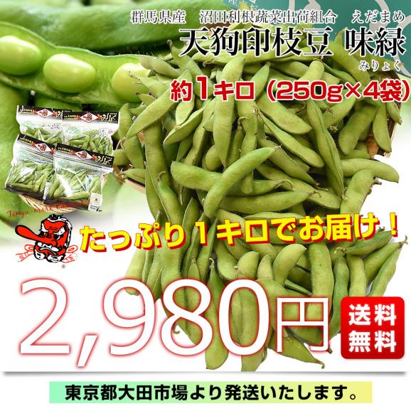 群馬県 沼田利根蔬菜出荷組合 天狗印の枝豆 味緑（みりょく）1キロ (250g×4袋) 青豆 茶豆風味 送料無料 えだまめ てんぐえだまめ03