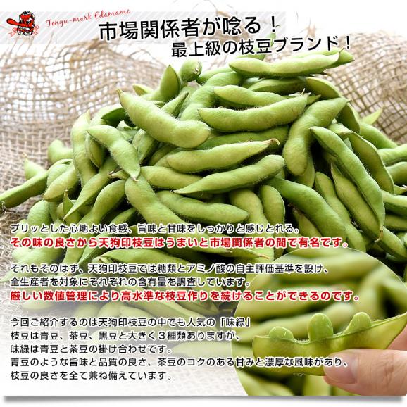 群馬県 沼田利根蔬菜出荷組合 天狗印の枝豆 味緑（みりょく）1キロ (250g×4袋) 青豆 茶豆風味 送料無料 えだまめ てんぐえだまめ04