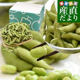 群馬県 沼田利根蔬菜出荷組合 天狗印の枝豆 神緑（しんりょく）1キロ (250g×4袋) 青豆 送料無料 えだまめ てんぐえだまめ