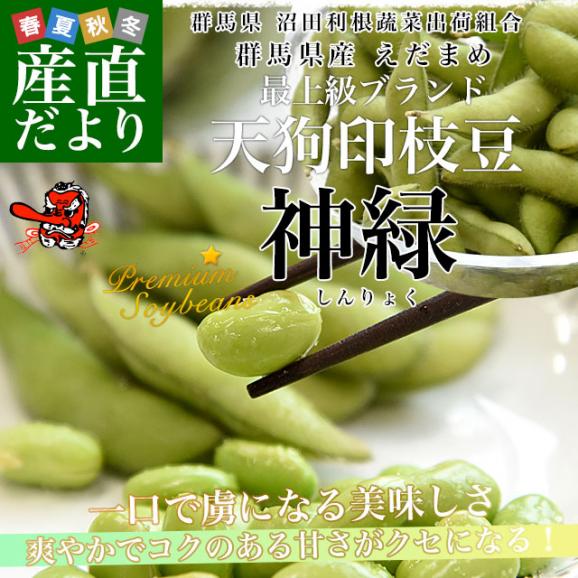 群馬県 沼田利根蔬菜出荷組合 天狗印の枝豆 神緑（しんりょく）1キロ (250g×4袋) 青豆 送料無料 えだまめ てんぐえだまめ02