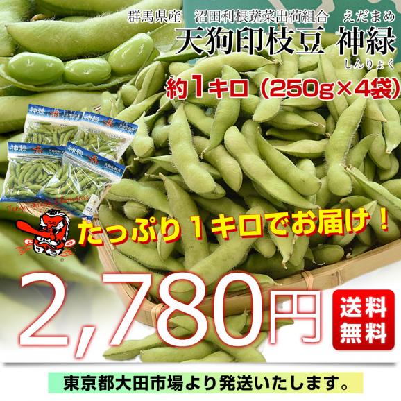 群馬県 沼田利根蔬菜出荷組合 天狗印の枝豆 神緑（しんりょく）1キロ (250g×4袋) 青豆 送料無料 えだまめ てんぐえだまめ03