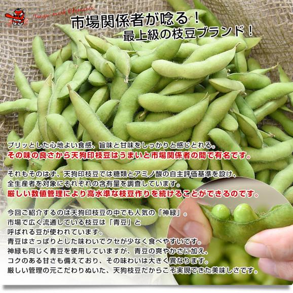 群馬県 沼田利根蔬菜出荷組合 天狗印の枝豆 神緑（しんりょく）1キロ (250g×4袋) 青豆 送料無料 えだまめ てんぐえだまめ04