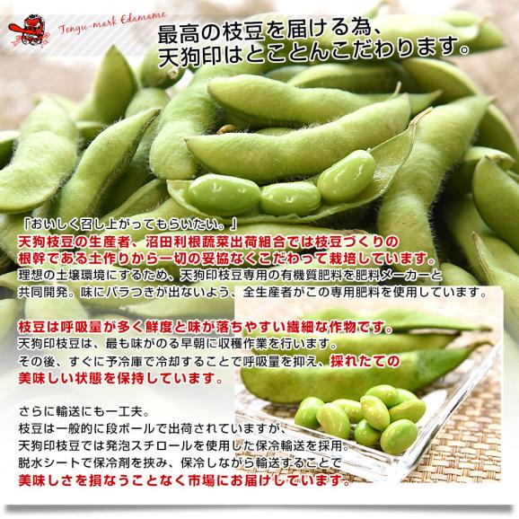 群馬県 沼田利根蔬菜出荷組合 天狗印の枝豆 神緑（しんりょく）1キロ (250g×4袋) 青豆 送料無料 えだまめ てんぐえだまめ05