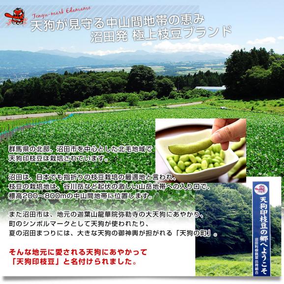 群馬県 沼田利根蔬菜出荷組合 天狗印の枝豆 神緑（しんりょく）1キロ (250g×4袋) 青豆 送料無料 えだまめ てんぐえだまめ06