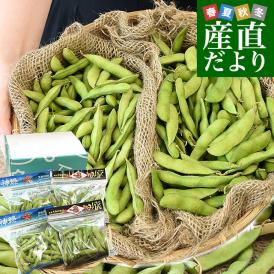 群馬県 沼田利根蔬菜出荷組合 天狗印の枝豆 味緑・神緑セット（みりょく・しんりょく）1キロ (250g×4袋入り) 青豆 茶豆風味　送料無料 えだまめ てんぐえだまめ