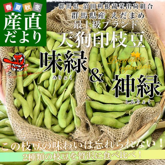 群馬県 沼田利根蔬菜出荷組合 天狗印の枝豆 味緑・神緑セット（みりょく・しんりょく）1キロ (250g×4袋入り) 青豆 茶豆風味　送料無料 えだまめ てんぐえだまめ02