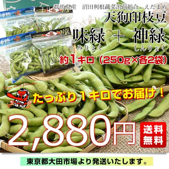 群馬県 沼田利根蔬菜出荷組合 天狗印の枝豆 味緑・神緑セット（みりょく・しんりょく）1キロ (250g×4袋入り) 青豆 茶豆風味　送料無料 えだまめ てんぐえだまめ03