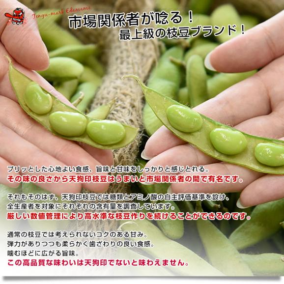 群馬県 沼田利根蔬菜出荷組合 天狗印の枝豆 味緑・神緑セット（みりょく・しんりょく）1キロ (250g×4袋入り) 青豆 茶豆風味　送料無料 えだまめ てんぐえだまめ04