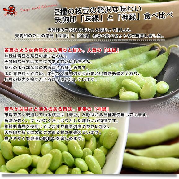 群馬県 沼田利根蔬菜出荷組合 天狗印の枝豆 味緑・神緑セット（みりょく・しんりょく）1キロ (250g×4袋入り) 青豆 茶豆風味　送料無料 えだまめ てんぐえだまめ05
