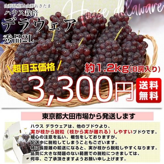 山形県 JA山形おきたま ハウス栽培 デラウェア（種なし） 秀品 2Lサイズ 約1.2キロ（8房入り） 送料無料 ぶどう 葡萄 ブドウ クール便03