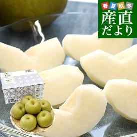 千葉県産 白井＆船橋の幸水梨 優品以上 幸水梨 約2キロ(4から6玉) 送料無料 梨 なし ナシ 幸水 こうすい