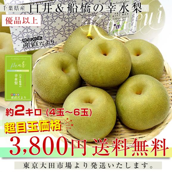 千葉県産 白井＆船橋の幸水梨 優品以上 幸水梨 約2キロ(4から6玉) 送料無料 梨 なし ナシ 幸水 こうすい03