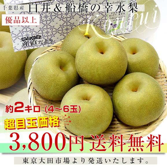 千葉県産 白井＆船橋の幸水梨 優品以上 幸水梨 約2キロ(4から6玉) 送料無料 梨 なし ナシ 幸水 こうすい03