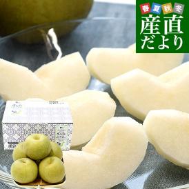 千葉県産 白井＆船橋の幸水梨 優品以上　幸水梨 約2キロ(4から5玉) 送料無料 梨 なし ナシ 幸水 こうすい