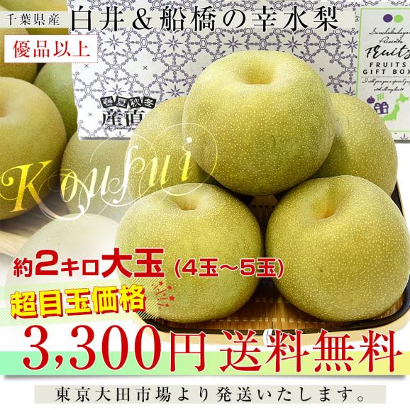 千葉県産 白井＆船橋の幸水梨 優品以上　幸水梨 約2キロ(4から5玉) 送料無料 梨 なし ナシ 幸水 こうすい03