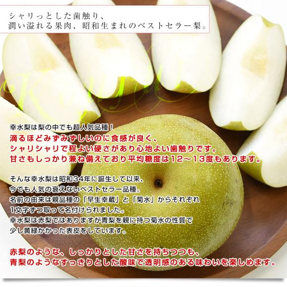 千葉県産 白井＆船橋の幸水梨 優品以上　幸水梨 約2キロ(4から5玉) 送料無料 梨 なし ナシ 幸水 こうすい04