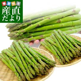 香川県より産地直送 JA香川県アスパラ さぬきのめざめ 夏芽 LからＭサイズ 約1キロ (50本から90本前後)  送料無料 丸亀市他 アスパラガス