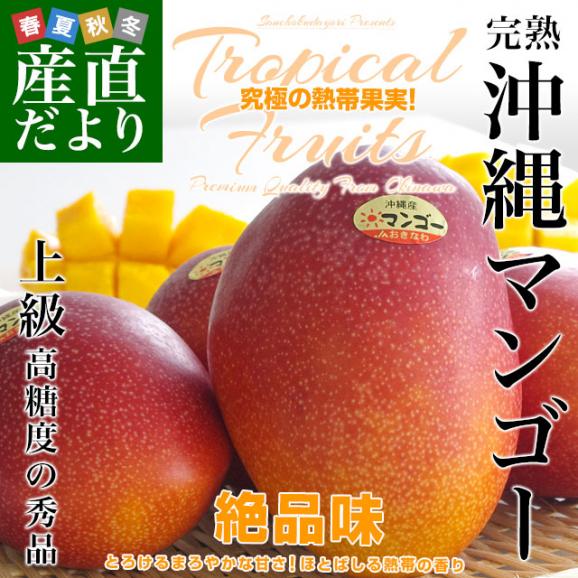 沖縄県産　JAおきなわ 完熟沖縄マンゴー 秀品 2Lから3Ｌサイズ×2玉 合計700g (約350g×2玉) 送料無料 まんごー アップルマンゴー ギフト 夏ギフト お中元 御中元02