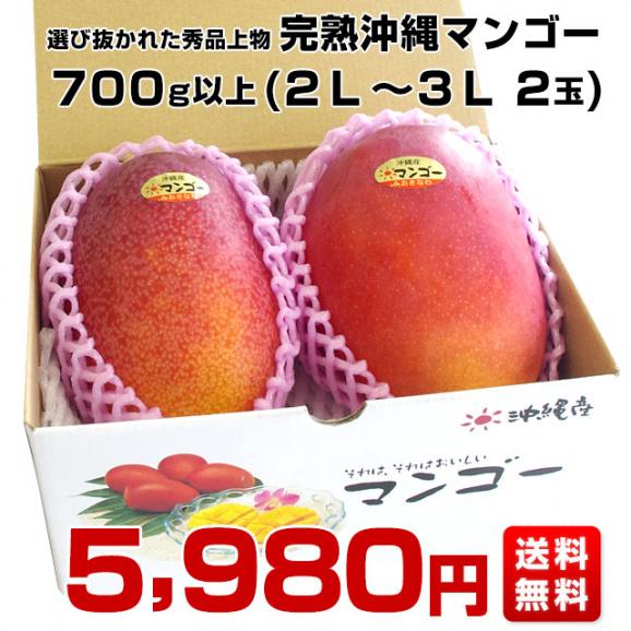 沖縄県産　JAおきなわ 完熟沖縄マンゴー 秀品 2Lから3Ｌサイズ×2玉 合計700g (約350g×2玉) 送料無料 まんごー アップルマンゴー ギフト 夏ギフト お中元 御中元03