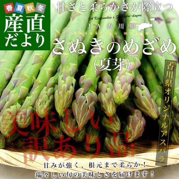 香川県より産地直送　JA香川県　訳ありアスパラ さぬきのめざめ　夏芽 大小込　約1キロ　丸亀市他　送料無料02