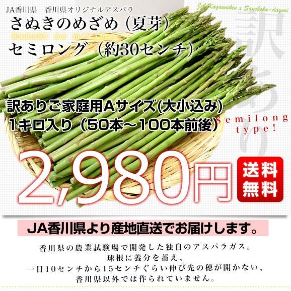 香川県より産地直送 JA香川県アスパラ さぬきのめざめ セミロング 夏芽（約30センチ）訳ありご家庭用（細Aサイズ）1キロ入り 送料無料 丸亀市他 30センチアスパラガス03