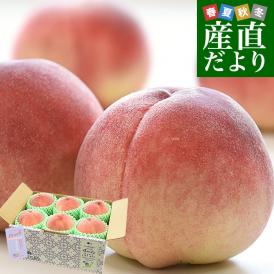 山梨県産 JAフルーツ山梨 大藤支所 大藤の桃 青秀品 約1.8キロ(6玉) 送料無料 もも モモ ピーチ