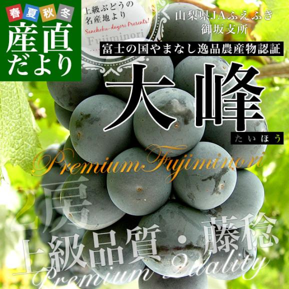 山梨県産　JAふえふき御坂支所　大峰（たいほう）約1.2キロ(2房入り)　黒葡萄　送料無料　クール便　ぶどう　ブドウ　葡萄　市場発送02