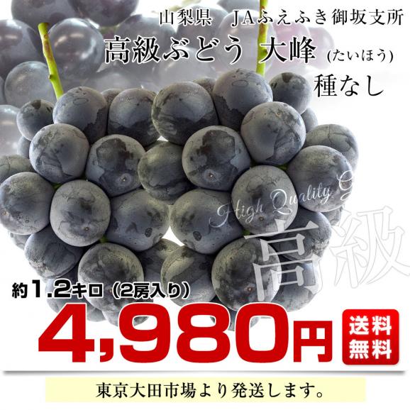 山梨県産　JAふえふき御坂支所　大峰（たいほう）約1.2キロ(2房入り)　黒葡萄　送料無料　クール便　ぶどう　ブドウ　葡萄　市場発送03