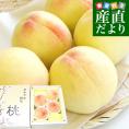 岡山県から産地直送 JA晴れの国岡山 総社もも生産組合 総社(そうじゃ)の桃 青秀以上 約1キロ (3玉から5玉) 送料無料 桃 モモ もも ピーチ ギフト 夏ギフト お中元 御中元