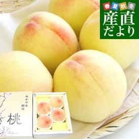 岡山県から産地直送 JA晴れの国岡山 総社もも生産組合 時期が選べる総社(そうじゃ)の桃 青秀以上 約1キロ前後 (3玉から5玉) 送料無料 桃 モモ もも ピーチ ギフト 夏ギフト お中元 御中元