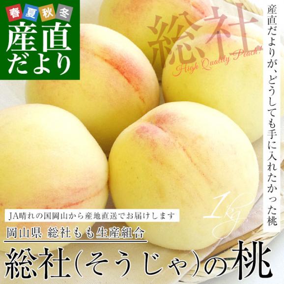 岡山県から産地直送 JA晴れの国岡山 総社もも生産組合 時期が選べる総社(そうじゃ)の桃 青秀以上 約1キロ前後 (3玉から5玉) 送料無料 桃 モモ もも ピーチ ギフト 夏ギフト お中元 御中元02