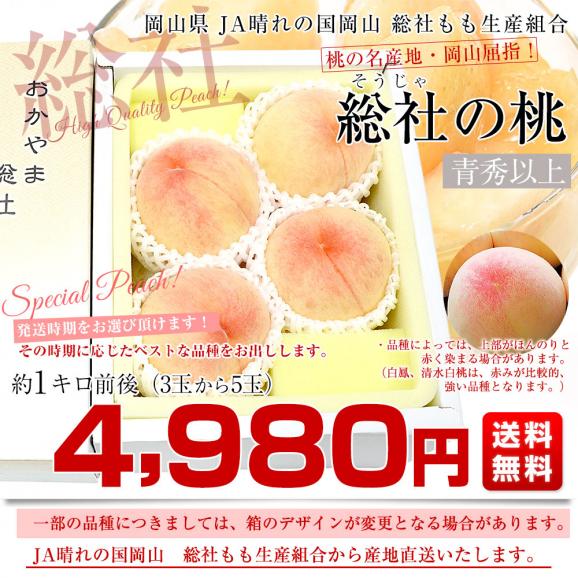 岡山県から産地直送 JA晴れの国岡山 総社もも生産組合 時期が選べる総社(そうじゃ)の桃 青秀以上 約1キロ前後 (3玉から5玉) 送料無料 桃 モモ もも ピーチ ギフト 夏ギフト お中元 御中元03