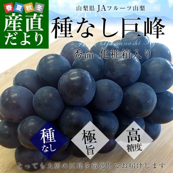 山梨県より産地直送 JAフルーツ山梨 種なし巨峰 秀品 大房1房入り化粧箱 (約550g×1房) 送料無料 葡萄 ぶどう02
