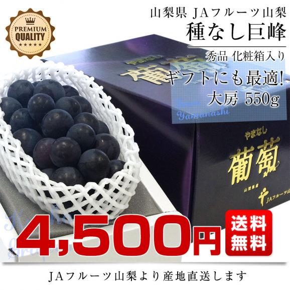 山梨県より産地直送 JAフルーツ山梨 種なし巨峰 秀品 大房1房入り化粧箱 (約550g×1房) 送料無料 葡萄 ぶどう03