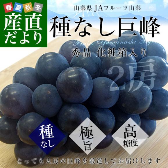 山梨県より産地直送 JAフルーツ山梨 種なし巨峰 秀品 大房2房入り化粧箱 (約550g×2房) 送料無料 葡萄 ぶどう 02