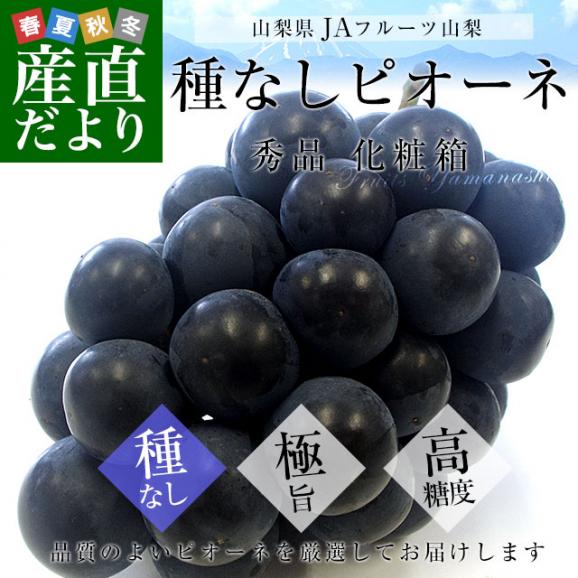 山梨県より産地直送 JAフルーツ山梨 種なしピオーネ 秀品 大房１房入り 化粧箱 (約550g ×１房) 送料無料 葡萄 ぶどう02