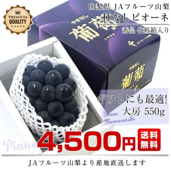 山梨県より産地直送 JAフルーツ山梨 種なしピオーネ 秀品 大房１房入り 化粧箱 (約550g ×１房) 送料無料 葡萄 ぶどう03