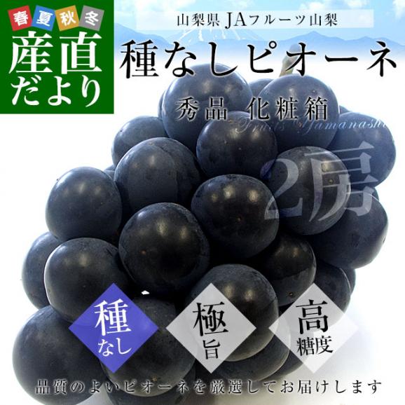 山梨県より産地直送 JAフルーツ山梨 種なしピオーネ 秀品 大房2房入り 化粧箱 (約550g ×2房) 送料無料 葡萄 ぶどうギフト02
