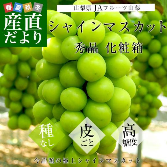 山梨県より産地直送 JAフルーツ山梨 シャインマスカット 秀品 大房1房入り 化粧箱 (約550g×1房)  送料無料 葡萄 ぶどう02