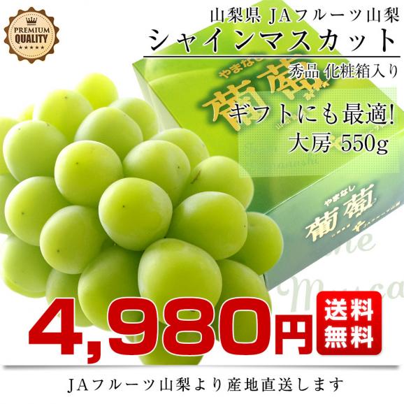 山梨県より産地直送 JAフルーツ山梨 シャインマスカット 秀品 大房1房入り 化粧箱 (約550g×1房)  送料無料 葡萄 ぶどう03