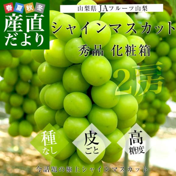 山梨県より産地直送 JAフルーツ山梨 シャインマスカット 秀品 大房2房入り 化粧箱 (約550g×2房)  送料無料 葡萄 ぶどう02