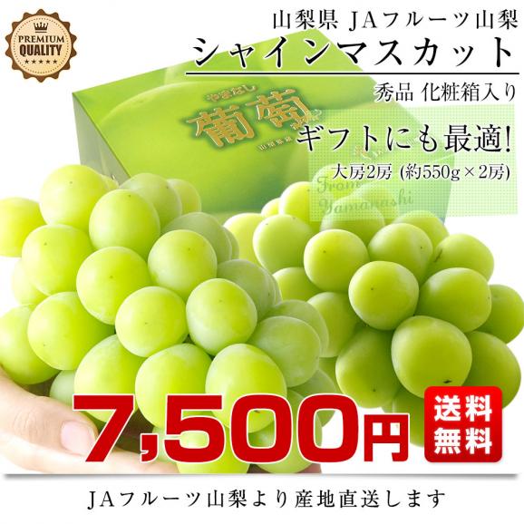 山梨県より産地直送 JAフルーツ山梨 シャインマスカット 秀品 大房2房入り 化粧箱 (約550g×2房)  送料無料 葡萄 ぶどう03
