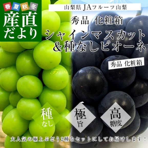 山梨県より産地直送 JAフルーツ山梨 シャインマスカット＆ピオーネ 2種セット 秀品 大房2房入 化粧箱 (約550g×2房）送料無料 02
