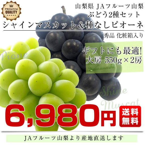山梨県より産地直送 JAフルーツ山梨 シャインマスカット＆ピオーネ 2種セット 秀品 大房2房入 化粧箱 (約550g×2房）送料無料 03