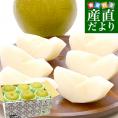 栃木県産 「梨」 品種：幸水 1.8キロ以上 (6玉) 送料無料 なし ナシ 幸水梨 こうすい